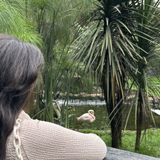 Nema &#x1f9a9;&#x1f495;