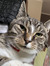 Kacper