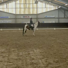 Jennifer Van Dommelen