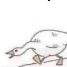 Dill Pickel