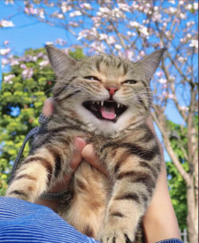 PM