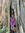member photo member photo
