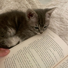 emerson