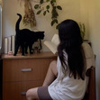 Cat &
