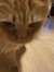 Oliver ...
