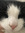 Daan Princen | 2 comments