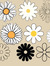 Daisy