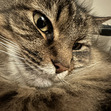 Ashley