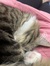 Katelyn