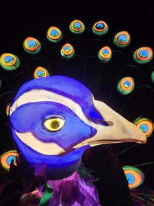 Ami Loveridge Carter