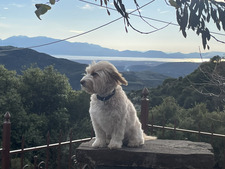 Smaragda Nazou