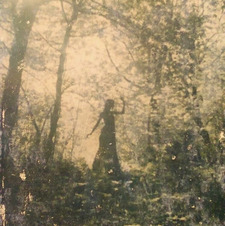 ˖ ݁݁˖ Den ˖ ݁݁˖