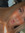 Amber Hestness