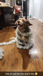 Julia (˶˃ ᵕ ˂˶)