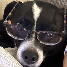 Mitchell VanHerwynen