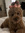 Sharon Sarai | 1 comments