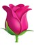 Joudy