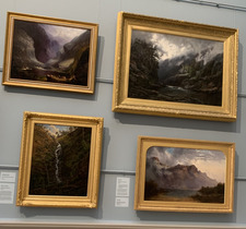 &#x1f34a;&#x1f988;&#x1f54a;️