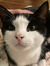 Amy