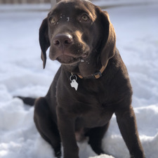 ✨Abigail Balzer✨