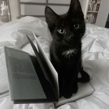 val ‎° ୨୧ . ° .