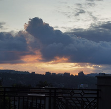 Jasmine Van Gansbeke