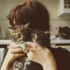 Negin
