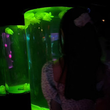 fryer ˚｡⋆ ༘˚✧