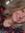 Alissa Coners | 1 comments