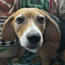 Samantha