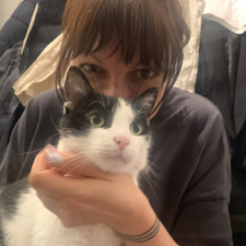 Кокиче с бодли