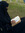 member photo member photo
