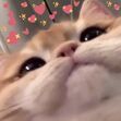 Yasi_moon_.