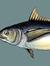 Tonfish