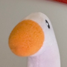 Chester Borger Fields