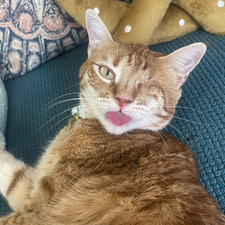 Sam