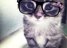 زَمْجَدٰاً 🕯️