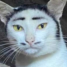Singhtararith Chea