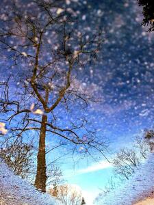 Райна Борисова