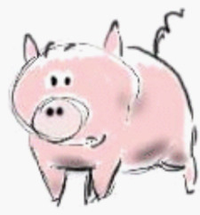 mopig