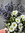 Melissa Santoro