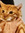 member photo member photo