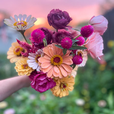 Amanda Gleason Buglio