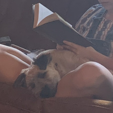 RJ