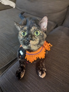 Liliana