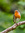 Hannah | 2 comments
