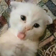 Nour :)