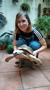 Elisa