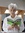 Lina Badawy | 6 comments