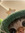 member photo member photo